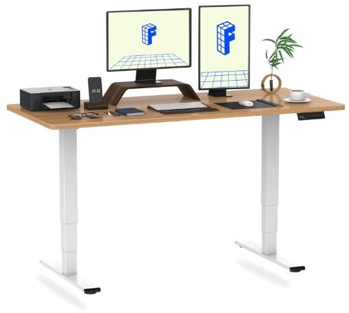 flexispot 50 inch tall standing desk