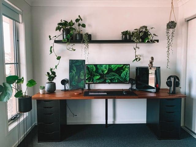 plants themed minimal desk setup